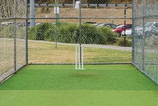 cricket practice pitch